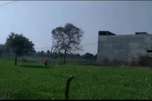 बांस बल्लियो पर दौड़ती विधुत लाइन, और लंबा चौड़ा स्टीमेट बनाकर उपभोक्ताओं का शोषण कर रहे हैं अधिकारी