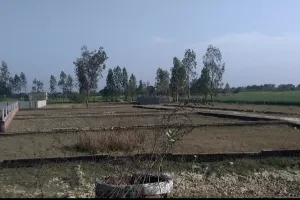 सरोजनी नगर तहसील के सहिजनपुर में अफसरों की सांठ गांठ से भूमाफियों ने ऊसर भूमि पर किया कब्जा 