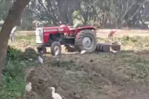 प्रतिबंधित पेड़ों पर आरा चला कर हरियाली नष्ट कर रहे लकड़ी ठेकेदार