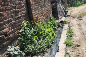 नाली का नियमित सफाई नहीं होने से रोड पर बह रहा गंदा पानी, संक्रमण का बढ़ा खतरा