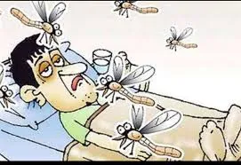 मच्छरों की बढ़ती तादात से परेशान है महमूदाबाद क्षेत्र के निवासी