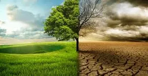 (पर्यावरण चिंतन)  कहीं सूखा, कहीं आग। वर्षा ऋतु में परिवर्तन जल रसातल में, पृथ्वी पर बड़े खतरे का संकेत।