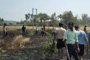 रक्षामंत्री के गोद लिए आदर्श ग्राम बेंती में अफसरों की लापरवाही से गेहूं की फसल जलकर हुई राख