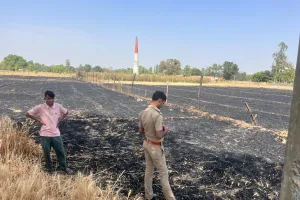 शॉर्ट-सर्किट से गेहूं के खेतों में लगी आग, तीन किसानों की 16 बीघे खड़ी फसल जलकर हुई राख
