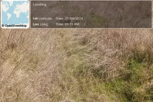 ग्राम पंचायत रामपुर में नहर सफाई के नाम पर चल रहे मनरेगा फर्जीवाड़ा की होगी जांच - प्रभारी बीडीओं