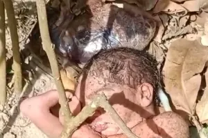 झाड़ियों में जीवित नवजात बच्ची मिलने से मचा हड़कंप