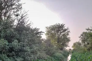 नहर की सफाई न होने कारण किसानों को नही मिल रहा सिंचाई के लिए पर्याप्त पानी