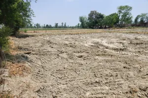 गाजर क्षेत्र में हो रहा बड़े पैमाने पर रेत, बालू व मिट्टी खनन