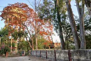 मोन गांव में पेयजल आपूर्ति के लिए बनाई गई पानी टंकी में तैनात ऑपरेटर की मनमानी