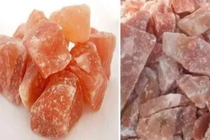  मानव जीवन मे बहुत उपयोगी होता सेंधा नमक 