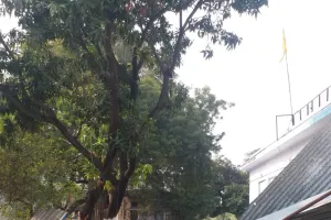 पत्रकार संतोष यादव के घर हुई तोड़फोड़ की जांच कराकर मंडलायुक्त ने मांगी डीएम कानपुर से रिपोर्ट 