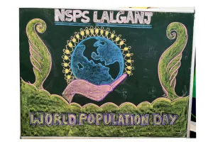 न्यू स्टैडर्ड पब्लिक में मनाया गया विश्व जनसंख्या दिवस 