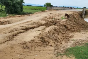  निर्माणाधीन बघेला नाले का पश्चिमी रास्ता बना जानलेवा, पानी के बहाव में नाले में समाया