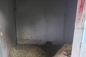 लाखों रुपये में तैयार पंचायत भवन में भरा भूसा