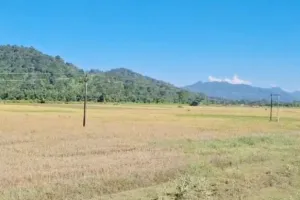 असम-अरुणाचल सीमांत इलाके दीपा की भूमि शीघ्र असम सरकार द्वारा सर्वेक्षण कराने की  मांग ।
