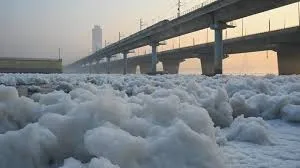 जहरीली यमुना