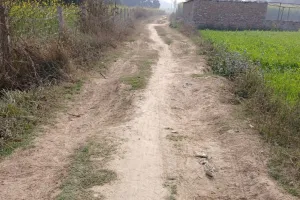 एक फुट गड्ढे सड़क पर 104 मनरेगा मजदूरों की लग रही फर्जी हाजिरी - ग्रामीण