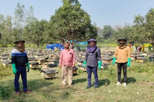  जिलाधिकारी एवं मुख्य विकास अधिकारी के निर्देशन में अमेठी के किसान श्याम तिवारी बने आत्मनिर्भर, मधुमक्खी पालन से कमा रहे लाखों