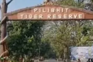 पीलीभीत टाइगर रिजर्व में नियमों का उल्लंघनः ARTO ने प्रतिबंधित क्षेत्र में की जांच, फील्ड डायरेक्टर ने लिखा पत्र