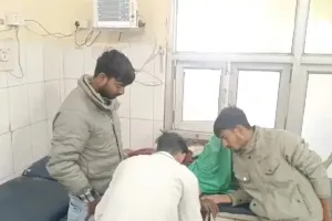 आवारा कुत्ते का हमला, कुत्तों की लड़ाई रोकने गई महिला समेत दो लोगों को नोचा 