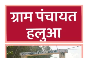 डीएम साहब एक नजर गौर ब्लाक के हलुआ ग्राम पंचायत में फर्जी हाजरी के नाम पर हो रहे भ्रष्टाचार पर भी डालें
