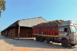 मंडल के 149 केंद्रों पर 1 मार्च से होगी गेहूं खरीद