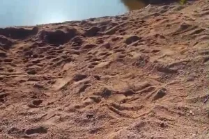 मंदाकिनी में बेधड़क हो रहा अवैध बालू खनन, खनन माफिया हुए सक्रिय