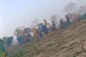 वन रेंज धौरहरा क्षेत्र में लकड़कट्टो ने बगैर परमिट काट डाले 22 आम के पेड़