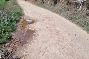  कल्याणपुर पीपरपुर से निकल कर रेवड़ा गांव को जाने वाला संपर्क मार्ग रो रहा है अपनी बदहाली का रोना 