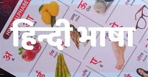 क्या हिंदी भाषी राज्यों को बोलियों के आधार पर बांटने की कोशिश की जा रही है?