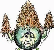 जनसंख्या के बोझ तले दबे संसाधन