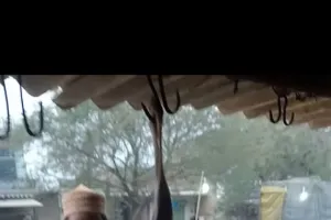 खुले में बिक रहे हैं मांस मछली स्थानीय लोगों को हो रही है परेशानी