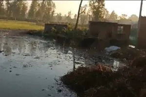 लहरपुर में नहर पटरी फटने से किसानों और ग्रामीणों को भारी नुकसान, डूबी 20 बीघा फसल  