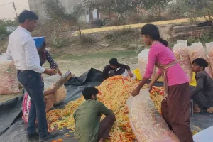 कानपुर में खाद्य विभाग ने पकड़ी रंगीन कचरी व पापड़ 