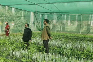 खुसरोबाग में अमरूद की प्रजातियां के मातृ पौधे बढ़ाए - डॉ बी वी द्विवेदी