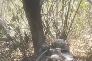 खाकी के संरक्षण में धधक रही शराब की भट्टियां बेबस आबकारी विभाग