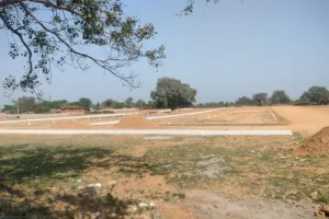 अवैध रूप से हो रही प्लाटिंग, बिल्डर हो रहे मालामाल