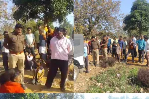 असनहर गांव में कुएं में गिरने से हिरण की मौत , वन विभाग  के कर्मचारियों ने  मृतक हिरन का किया अंतिम संस्कार