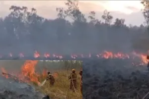 पीलीभीत टाइगर रिजर्व के महोफ रेंज में अचानक भड़की आग