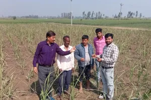 गन्ने की फसल में लगी तितली को दिखाते हैं कुंभी चीनी मिल के वरिष्ठ गन्ना प्रबंधक जगपाल सिंह