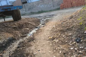 गाँव का रास्ता बदहाल, जिम्मेदार अनजान ?