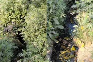 गंदगी से भरी नालियाँ फैला रही बीमारियां