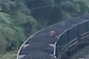 जान जोखिम में डालकर मालगाड़ी से कोयला चोरी कर रहे है बेरोजगार युवा