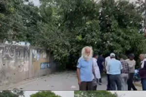 ओबरा वीआईपी रोड पर आम का पेड़ गिरने से यातायात बाधित, जनजीवन अस्त-व्यस्त