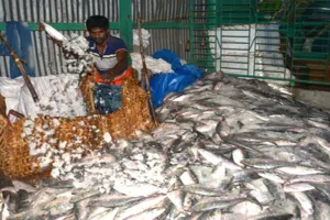 वैश्विक अनिश्चितताओं के बावजूद भारत के सी- फूड निर्यात में उछाल