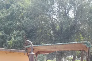 अबैध बालू परिवहन करते  ट्रैक्टर धराया, खननकर्ताओं में मचा हड़कंप