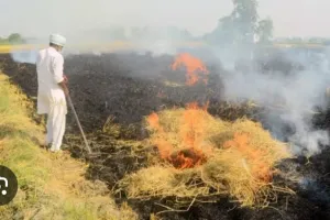 प्रदेश के किसान फसलों के अवशेष जलाएं नहीं बल्कि खेत में सड़ाएं, भूमि को बनाएं उपजाऊ
