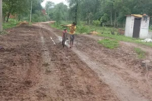 शहडोल के 41 स्कूलों में दलदल और दुश्वारियों के बीच होगी पढ़ाई: इस साल भी नहीं बनी व्यवस्था