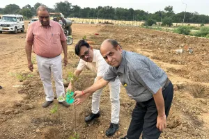 विश्व पर्यावरण दिवस पर ओबरा तापीय परियोजना में वृक्षारोपण कार्यक्रम का सफल आयोजन