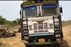 ओबरा में वन विभाग की अनुमति के बिना धड़ल्ले से काटे जा रहे पेड़, पर्यावरण संरक्षण पर गंभीर सवाल